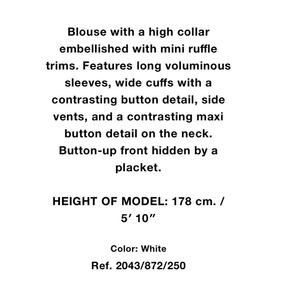 Zara Blouse with Button Detail - Picture 6 of 7